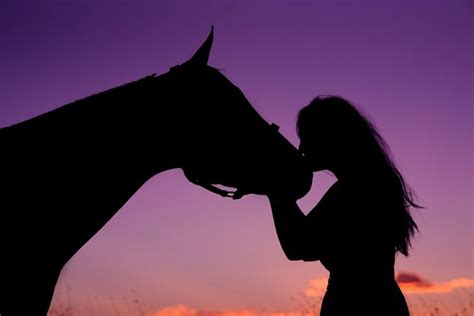 Cowgirl silhouette – Artofit