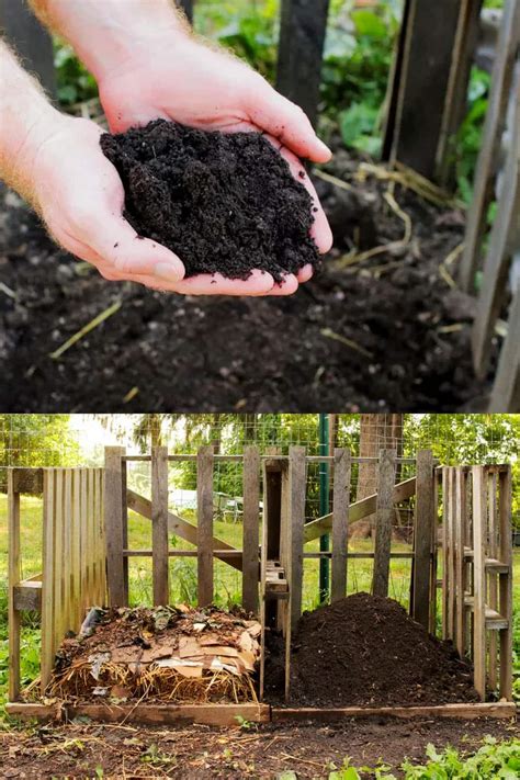 How to Compost 的图像结果