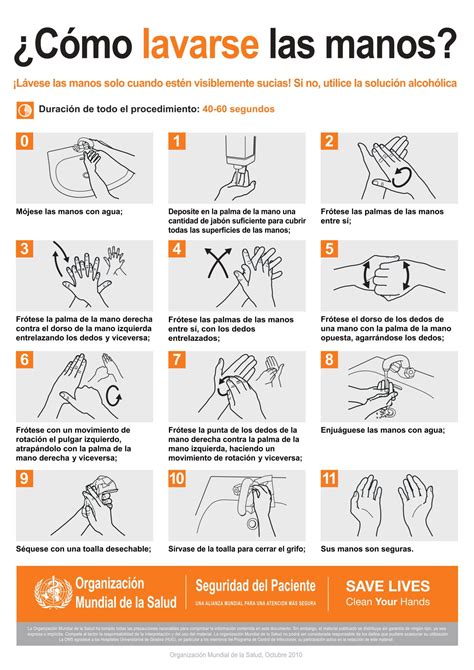 Qué comer cuando tienes diarrea: los mejores consejos - Salud Diez