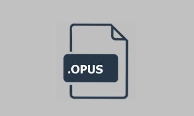 Open Opus Temp File 的图像结果