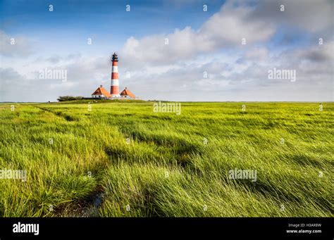 Image result for Full-Stack Web Development Animation. Design Pictures