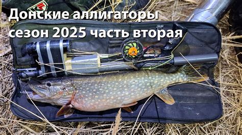 Донские аллигаторы сезон 2025 часть вторая Подводная охота 2025 ночная ...