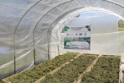 Solar Drying - energypedia