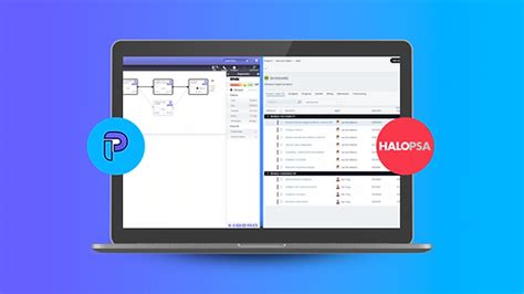Image result for Halopsa Chart Examples