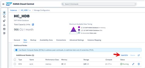 Use an Elastic Compute Node (ECN) for Scheduled Workloads | SAP Tutorials