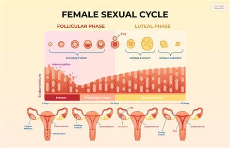 Is Nausea During Ovulation Normal? Everything You Need To Know