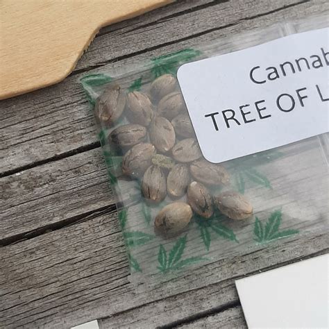 Tree of Life X Goat Supreme F1 14 Regular Seeds - DCSE