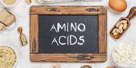 Essential Amino Acids – Definition, Benefits, and Foods