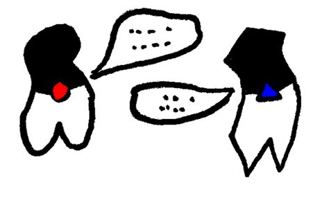 Image result for Standard Input Java