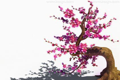 梦见桃花树是什么意思预兆 - 原版周公解梦大全