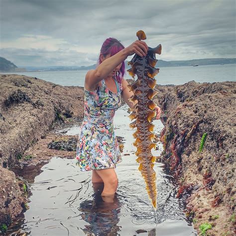 THE FAMILY FORAGING KITCHEN (2026) All You Need to Know BEFORE You Go ...