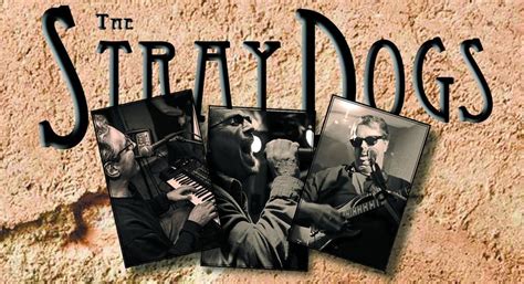 Stray Dogs @ Draft-Morgantown, Draft, Morgantown, 15 March 2024 | AllEvents