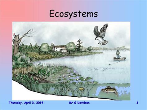 Biology 的图像结果