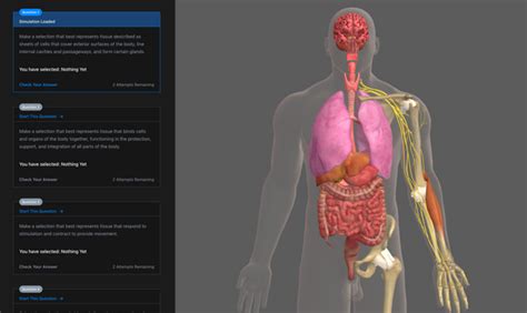 Computer Simulation Anatomy 的图像结果