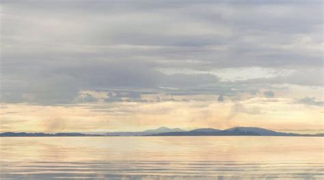 SCHNAUZER CROSSING (Bellingham) - B&B Reviews & Photos - Tripadvisor