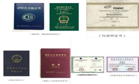 《国际中文教师资格证书》官网