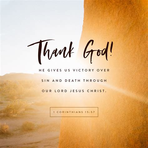 Gratitude In Bible Verses