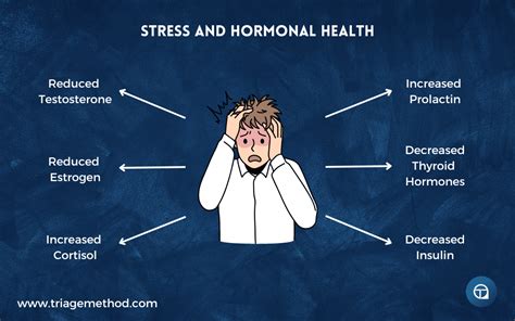 Exercise for Stress 的图像结果