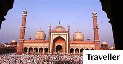 Lujv Old World New World 的图像结果