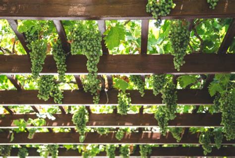 Products - SYN Steel