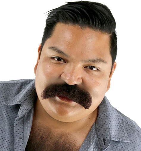 Buy Walrus Mustache Plush and Hairy Full Cowboy Costume Mustache Stick ...