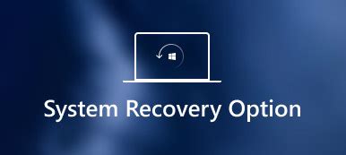 System Recovery 的图像结果