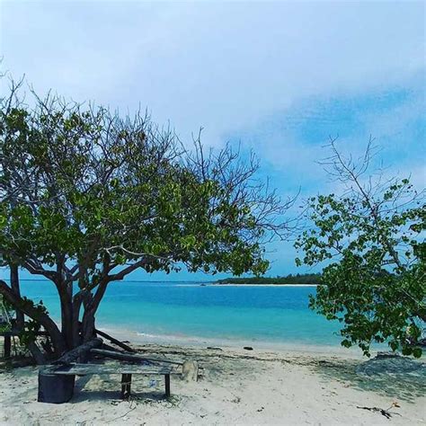 दक्षिण भारत की खूबसूरती में चार चांद लगाता है यह आइलैंड, घूमकर खुशी से ...