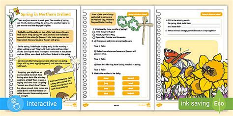 Spring Primary 3 Reading Activity (teacher made) - Twinkl