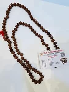 8 Mukhi Rudraksha Original Certified Nepali Big Size Mala, 8 Face ...