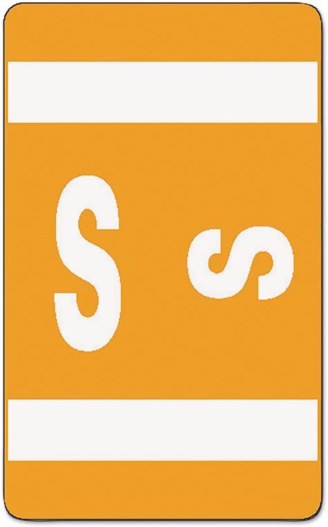 Buy Smead Alpha-Z Color-Coded"S" Letter Labels, Orange, 100Pack ...