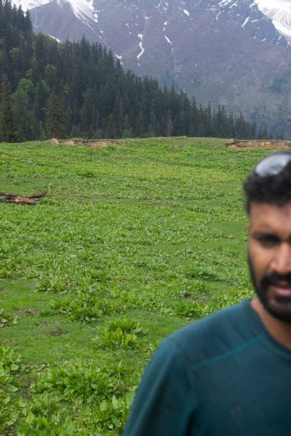 Bunbuni trek – the best alternative to Kheerganga! - The Raw Traveller