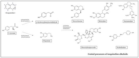 The Anticancer Effect of Natural Plant Alkaloid Isoquinolines