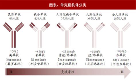 2018年中国抗体药物行业竞争格局及细分市场现状分析（图） - 中国报告网