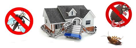 Pest Control: Book Pest Control Services in Pune At Best Price | Urban ...