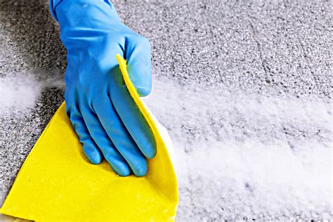 How To Clean Urine Out Of A Carpet | Storables