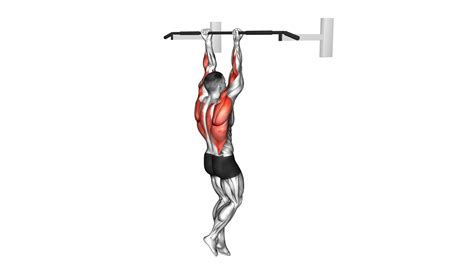 Master The Negative Push-up (Male) - Video Guide & Tips For Optimal Results