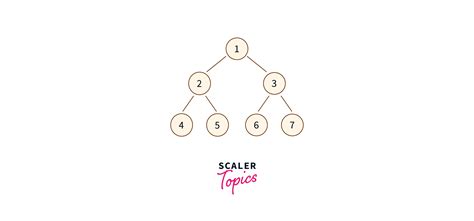 Image result for HackerRank Mirror Tree