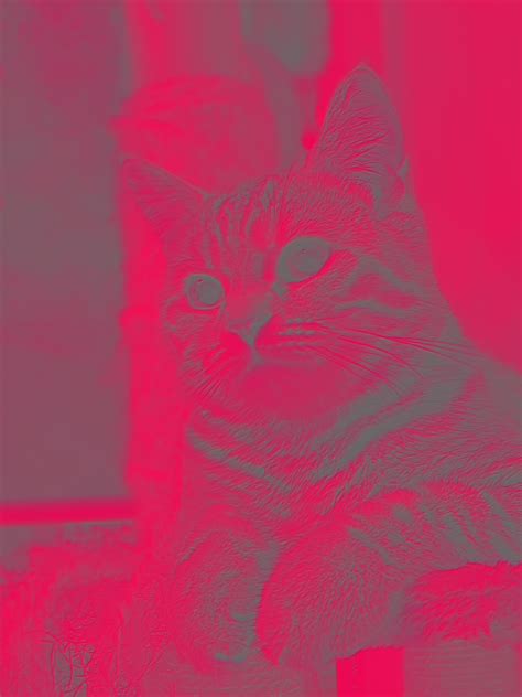 Machine Learning Feature Map 的图像结果