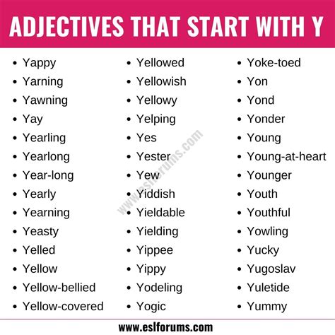Adjectives That Start With Y to Describe Someone