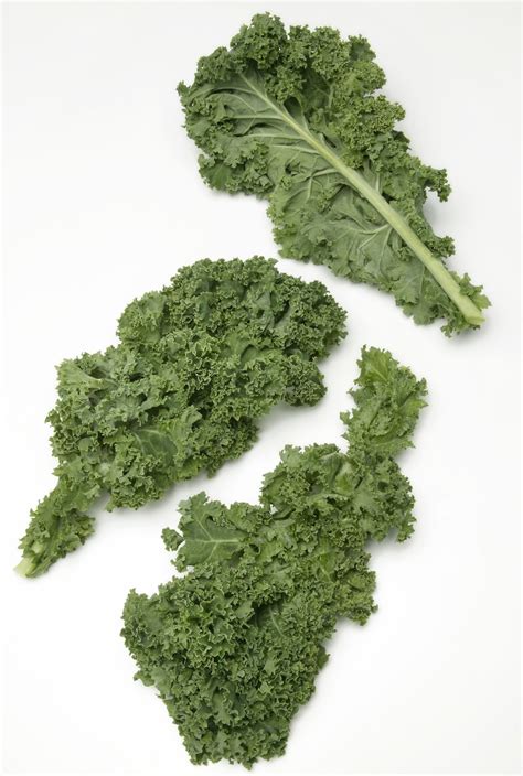 Kale In. Spanish at Allyson Byerly blog