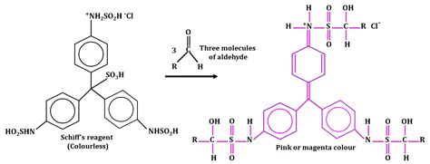 Theory and Procedure, Tests for the Functional Groups - Additional ...