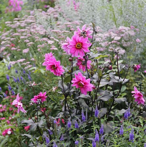 Cottage Gardens Landscape 的图像结果
