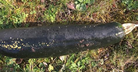 German Man Calls Cops Thinking He's Found A WWII Bomb. Turns Out, It ...