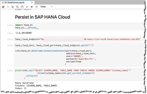 Image result for How to Create SAP HANA Query Python