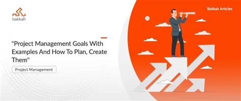 Image result for Project Management Goals Examples