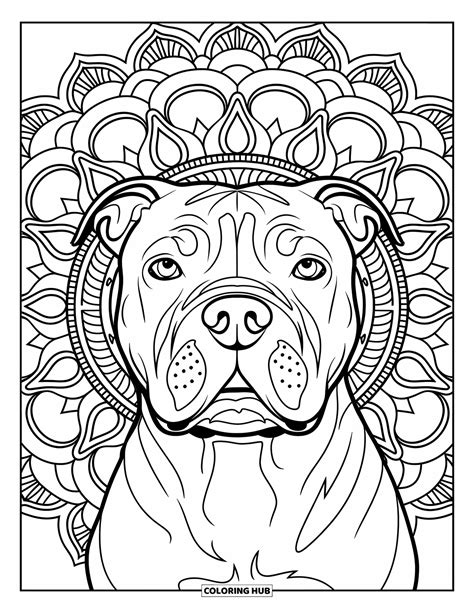100+ Pitbull Coloring Pages for Kids & Adults (Free Printable PDFs)