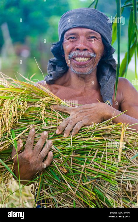 Filipino Agriculture 的图像结果
