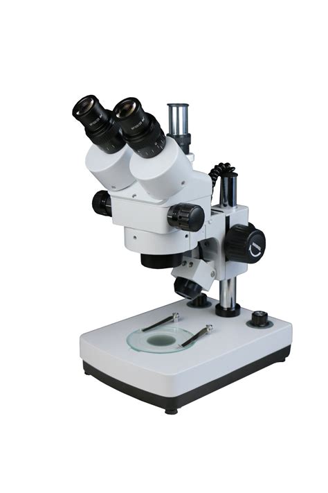 Stereo Microscope 的图像结果