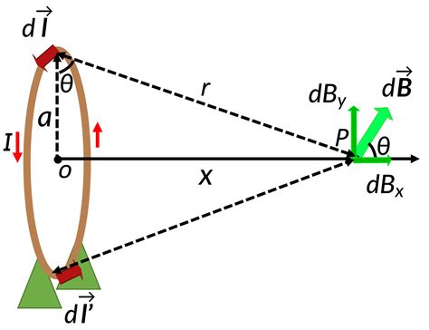 Image result for Loop Current