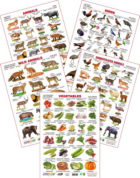 Spectrum Educational Large Wall Charts (Set of 5) : ( Aniamls , Birds ...